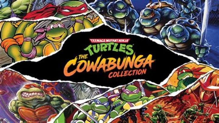 What does cowabunga mean